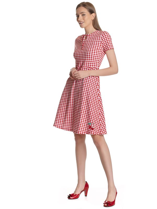 Nastrovje Potsdam Pussy Deluxe Back to 1955 Red Plaid Damen A-Linien-Kleid rot allover Zeitbegrenzte Promotion