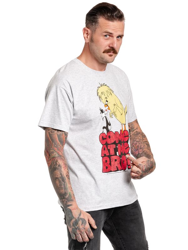 Nastrovje Potsdam Looney Tunes Come At Me Bro Herren T-Shirt grau meliert VIP-Rabatte