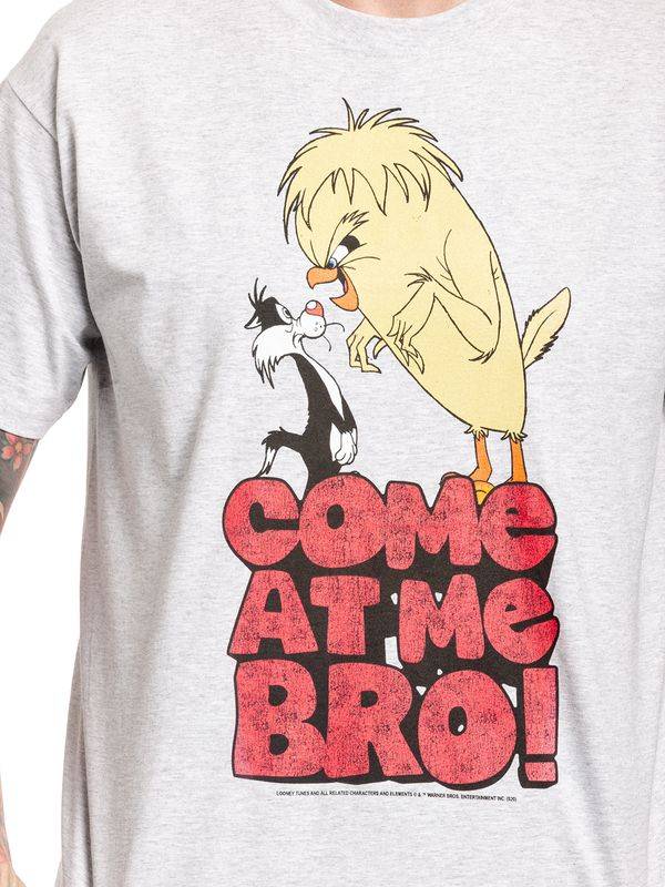 Nastrovje Potsdam Looney Tunes Come At Me Bro Herren T-Shirt grau meliert VIP-Rabatte