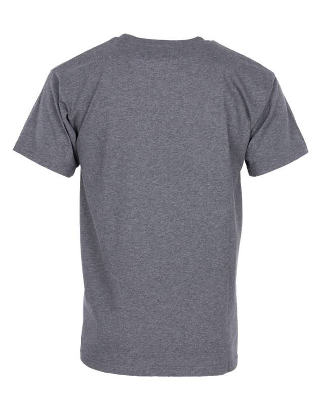 Pike Brothers 1969 Sports Tee grey im Angebot