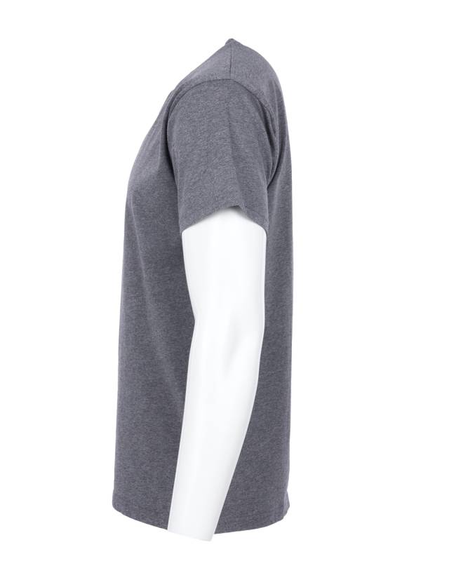 Pike Brothers 1969 Sports Tee grey im Angebot