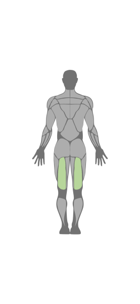 Schupp Funktionsstemme SL1 ATAMA Compact (165 kg) Jubiläumsangebot