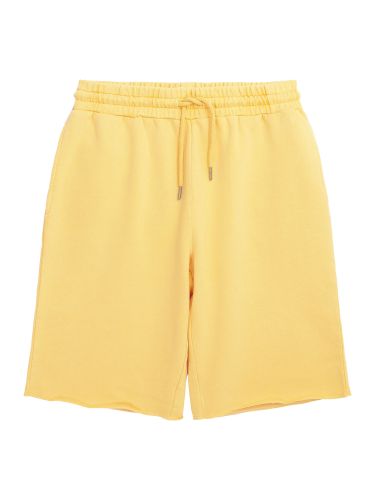 glore Knowledge Cotton Apparel BIRCH Sweat Shorts Preisnachlass