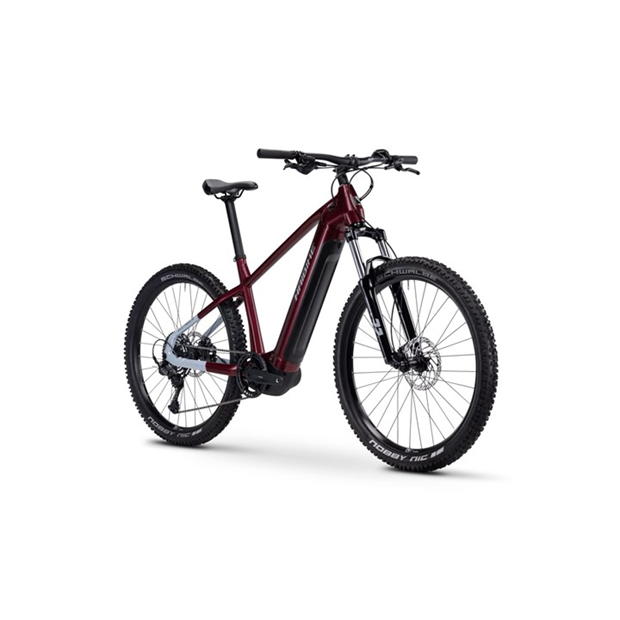 Haibike ALLTRACK 5 - RED - 2025 Kostenloser Versand international