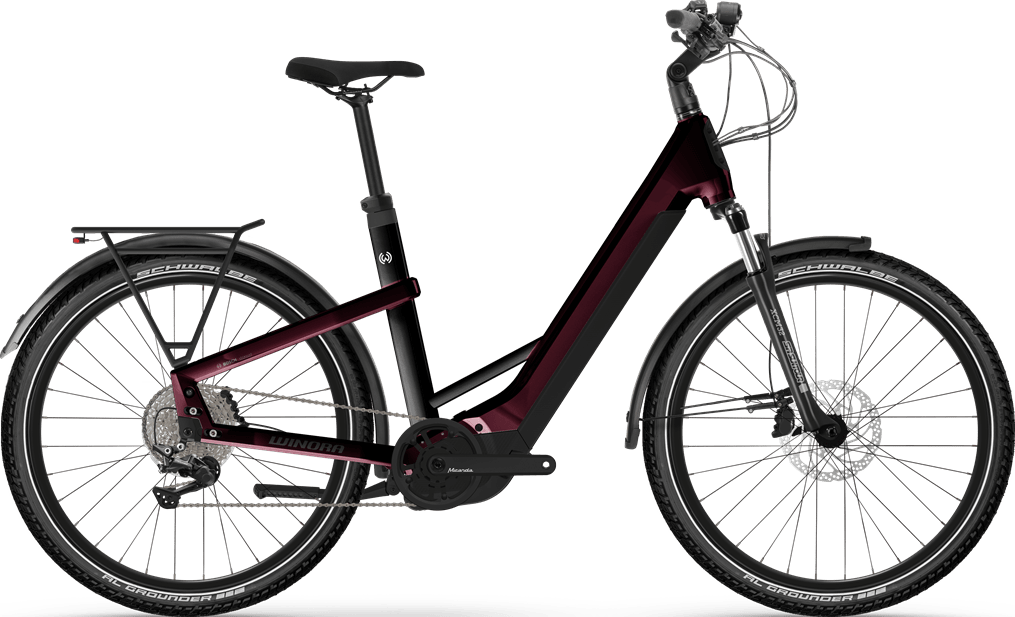 Winora Yakun X10E (Lowstep) 2024 Flash Sale